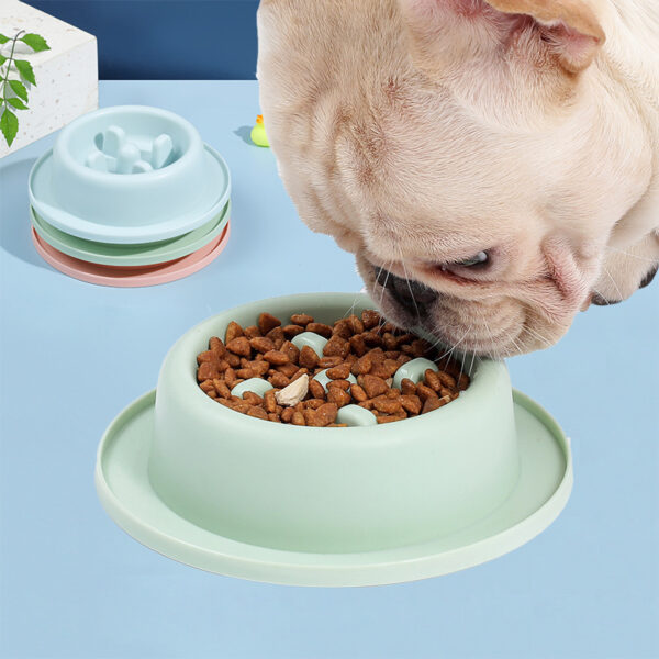 Slow Feeders Food Bowl